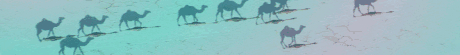 dromedari.gif (12530 bytes)